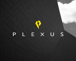 Plexus