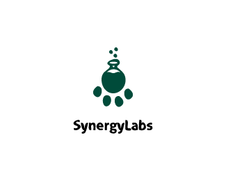 SynergyLabs