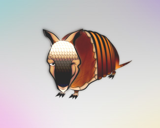 winking armadillo